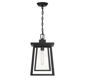 Denver One Light Outdoor Hanging Lantern (5-2025-BK)