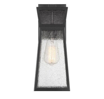 Millford One Light Outdoor Wall Lantern (5-634-BK)