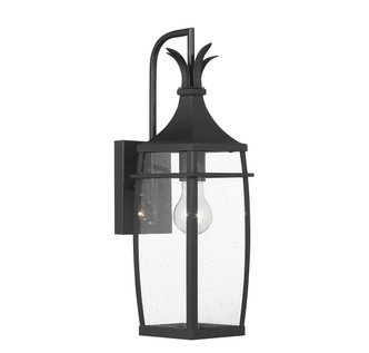 Montpelier One Light Outdoor Wall Lantern (5-768-BK)