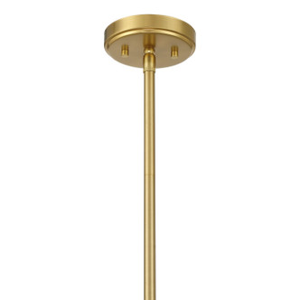 Pastis One Light Pendant (7-2040-1-322)