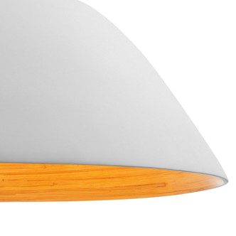 Alta One Light Pendant (7-2918-1-157)