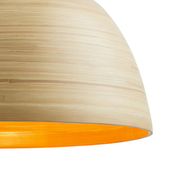 Agave One Light Pendant (7-2919-1-203)