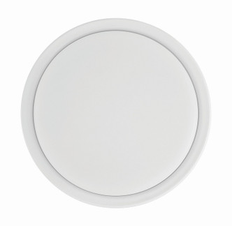 Phoebe light kit LED Fan Light Kit (PHB52LK-W-LED)