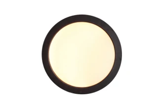 Slim Line II LED Flushmount (X9407-FB-LED-5CCT)