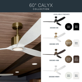 Calyx 60" Ceiling Fan (300360-HBB)