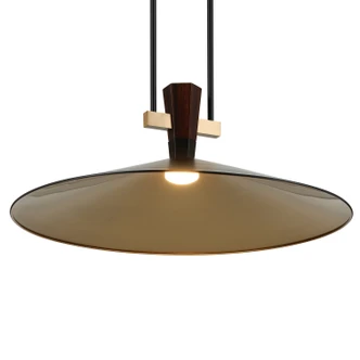 Tenon LED Pendant (52833BKLED)