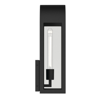 Marea One Light Outdoor Wall Mount (59201BKT)