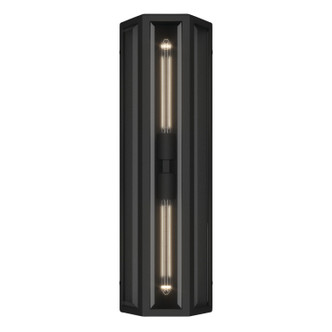 Berens Two Light Outdoor Wall Mount (59216BKT)