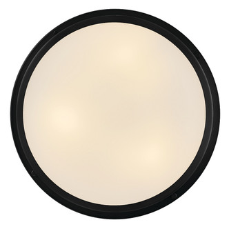 manufacturer_finish:Black