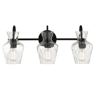 Hollis Three Light Vanity (HLL8622MBK)