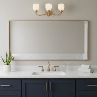 Jacobs Three Light Vanity (JACO8624BGD)