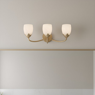 Jacobs Three Light Vanity (JACO8624BGD)