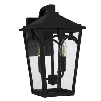 Jaxon Two Light Outdoor Wall Lantern (JAX8408WT)