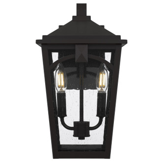 Jaxon Two Light Outdoor Wall Lantern (JAX8408WT)