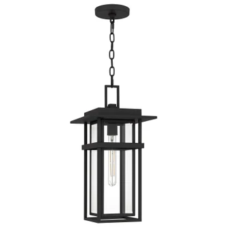 Morgan One Light Outdoor Hanging Lantern (MORG1910EK)