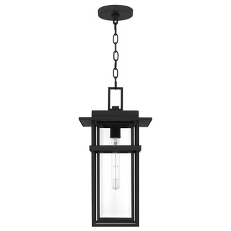 Morgan One Light Outdoor Hanging Lantern (MORG1910EK)