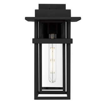 Morgan One Light Outdoor Wall Lantern (MORG8408EK)