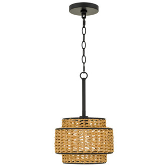 Teton One Light Mini Pendant (TET1510MBK)