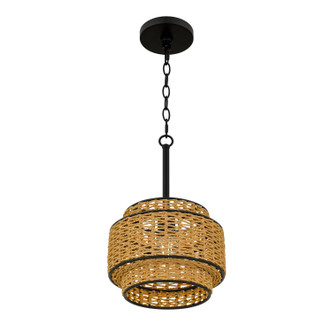 Teton One Light Mini Pendant (TET1510MBK)