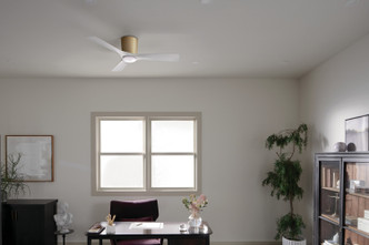 Volos 48" Ceiling Fan (300032CPZ)