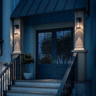 Barras One Light Outdoor Wall Mount (59023BKDS)