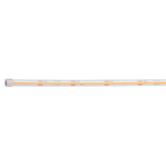 6T Series COB Wet Tape Light LED Tape Light (6COB316H30WH)