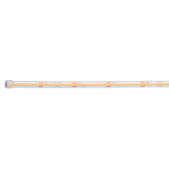 6T Series Cob Wet Tape Light LED Tape Light (6COB316H30WH)