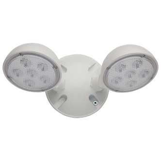 LED Remote Emergency Light (67-137)
