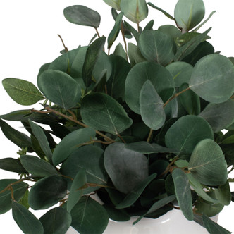 Essence Eucalyptus Vase (60257)