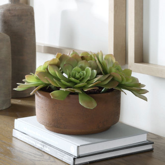 Sable Succulent Accent In Pot (60267)