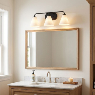 Blair Three Light Bathroom Vanity (8-2988-3-BK)
