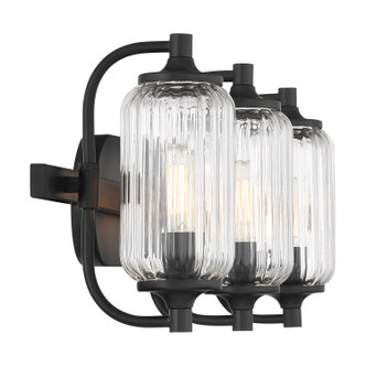 Holton Three Light Bathroom Vanity (8-3024-3-BK)