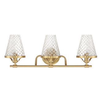 Candler Three Light Bathroom Vanity (8-3596-3-322)
