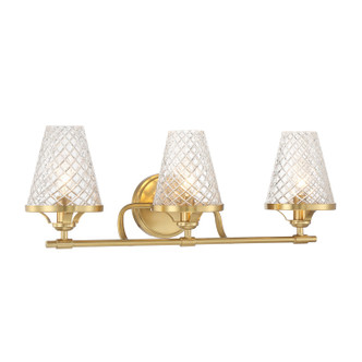 Candler Three Light Bathroom Vanity (8-3596-3-322)
