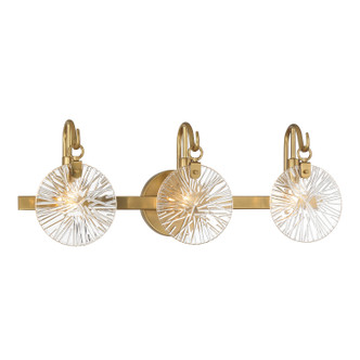 Addison Three Light Bathroom Vanity (8-3981-3-322)