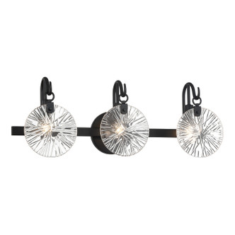 Addison Three Light Bathroom Vanity (8-3981-3-BK)