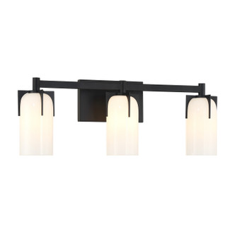 Caldwell Three Light Bathroom Vanity (8-4128-3-BK)