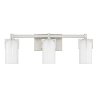 Caldwell Three Light Bathroom Vanity (8-4128-3-SN)