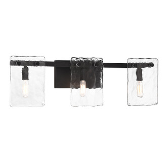 Genry Three Light Bathroom Vanity (8-8204-3-BK)