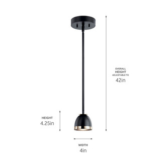 Baland LED Mini Pendant (52419BKLED)