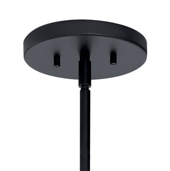 Tolani 12 Light Chandelier (52428BK)