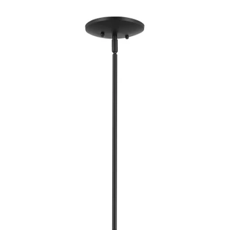 Deela Eight Light Chandelier (52528BK)