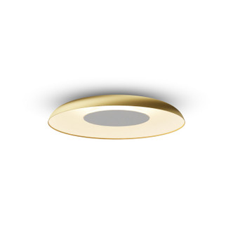 Ramen LED Wall Sconce (RMW-12-SW-PTB-HW+24BD-GMW)