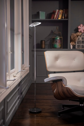 Royyo LED Floor Lamp (RYO-SW-SIL-SIL-FLR)