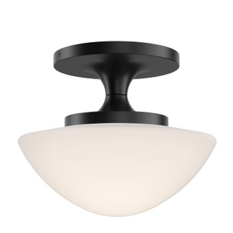 manufacturer_finish:Black