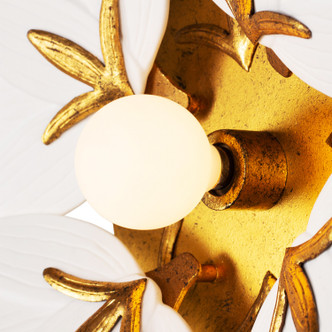 BLOOM One Light Wall Sconce (525621OL)