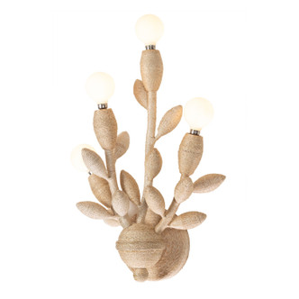 Branche Four Light Wall Sconce (527021WIV)