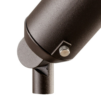 One Light Accent (15384AZT24)
