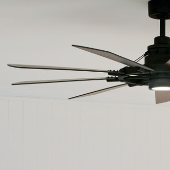 Gentry 60" Ceiling Fan (300260AVI)