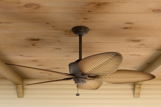 Nani 56"Ceiling Fan (310095SNB)